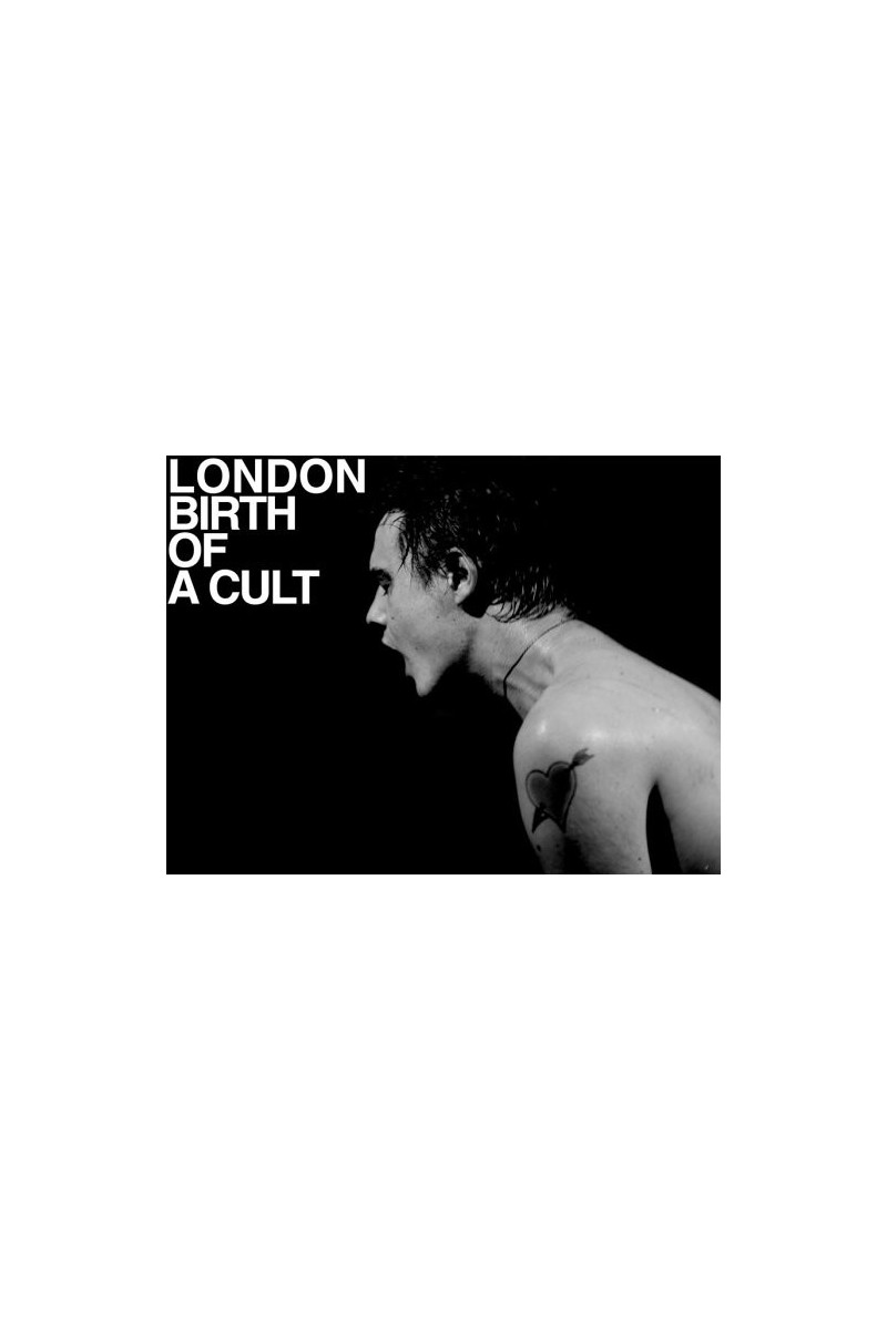 Hedi Slimane: London Birth of a Cult - La Galerie de l'Instant