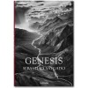 Sebastião Salgado Genesis