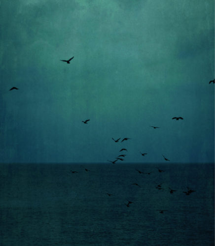 Evening Seas