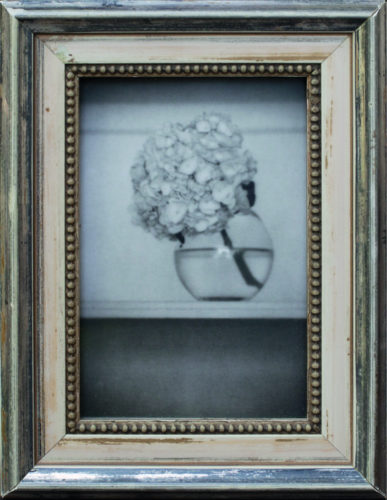 Sutton Place Still Life