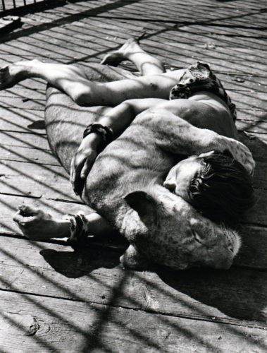 Le dompteur Manzano et les lions de Jeannette Mac Donald, Paris, 1952