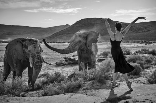 MATTHEW BROOKES Marie-Agnès Gillot Cape Town, 2020 (©MATTHEW BROOKES - LA GALERIE DE L’INSTANT)